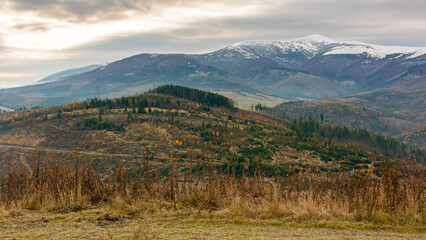 countryside landscape with snow capped tops in the distance. gloomy scenery of borzhava ridge with overcast sky in late autumn