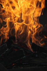 photo of a hearth from a pile of wood.