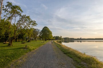 People walking their dogs near river at sunset during summer aerial view