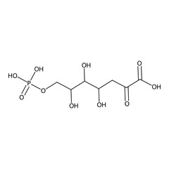 4,5,6-trihydroxy-2-keto-7-phosphonooxy-enanthic acid