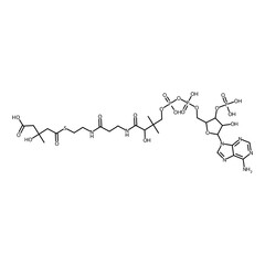 5-[2-[3-[[4-[[(5-adenin-9-yl-4-hydroxy-3-phosphonooxy-tetrahydrofuran-2-yl)methoxy-hydroxy-phosphoryl]oxy-hydroxy-phosphoryl]oxy-2-hydroxy-3,3-dimethyl-butanoyl]amino]propanoylamino]ethylthio]-3-hydro