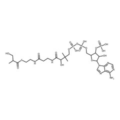 3-hydroxy-2-methyl-propanethioic acid S-[2-[3-[[4-[[(5-adenin-9-yl-4-hydroxy-3-phosphonooxy-tetrahydrofuran-2-yl)methoxy-hydroxy-phosphoryl]oxy-hydroxy-phosphoryl]oxy-2-hydroxy-3,3-dimethyl-butanoyl]a