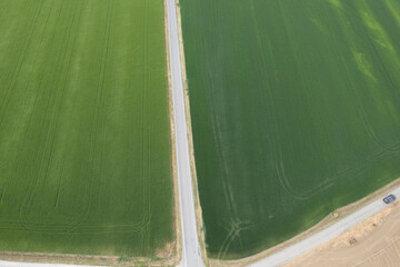 Narrow asphalt road separating two farm fields aerial view