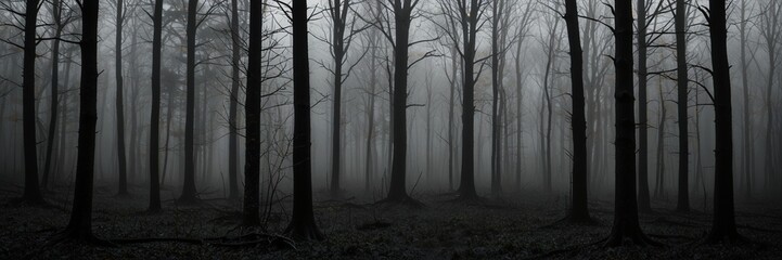 Naklejka premium dark forest in fog