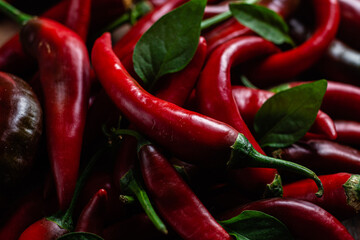 Red hot pepper close-up.Bitter pepper