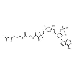3-methylbut-2-enethioic acid S-[2-[3-[[4-[[(5-adenin-9-yl-4-hydroxy-3-phosphonooxy-tetrahydrofuran-2-yl)methoxy-hydroxy-phosphoryl]oxy-hydroxy-phosphoryl]oxy-2-hydroxy-3,3-dimethyl-butanoyl]amino]prop