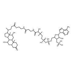 4-(7,12-dihydroxy-3-keto-10,13-dimethyl-1,2,4,5,6,7,8,9,11,12,14,15,16,17-tetradecahydrocyclopenta[a]phenanthren-17-yl)pentanethioic acid S-[2-[3-[[4-[[(5-adenin-9-yl-4-hydroxy-3-phosphonooxy-tetrahyd