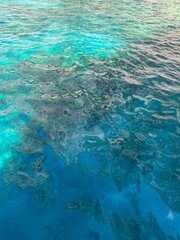 Capri turquoise water