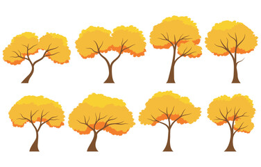 Autumn tree set. Collection of tree isolated on a white background. Each species of trees. A tree with orange leaves. Nature or healthy lifestyle topics. Vector illustration flat design style