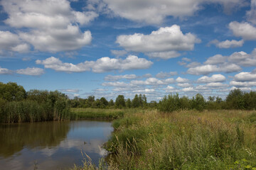 Russia Vologda region landscape on a cloudy summer day