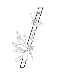 Vector sign with flowers decorations