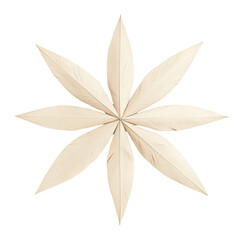 Elegant star-shaped design made of soft cream-colored leaves, ideal for decoration or artistic projects.