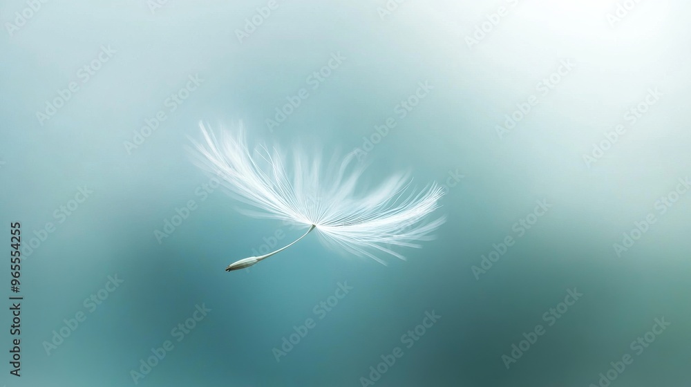 Aufkleber dandelion seed floating in the air, ethereal tranquility. nature and serenity concept