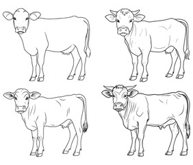 Hand drawn animal outline illustration black and white cow set