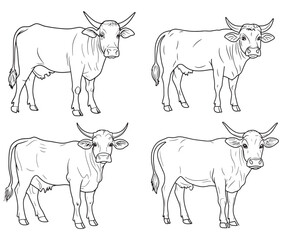 Hand drawn animal outline illustration black and white cow set