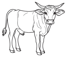 Hand drawn animal outline illustration black and white cow