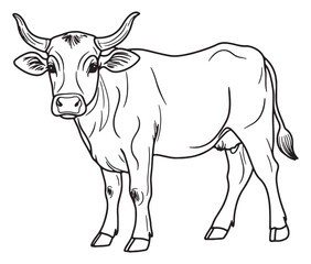 Hand drawn animal outline illustration black and white cow