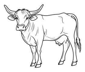 Hand drawn animal outline illustration black and white cow