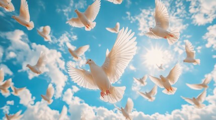 Fototapeta premium white doves flying overhead in blue sky background