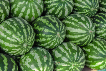 Many watermelons are taken with filling of the frame composition at the market. Watermelon is a very popular sweet fruit.