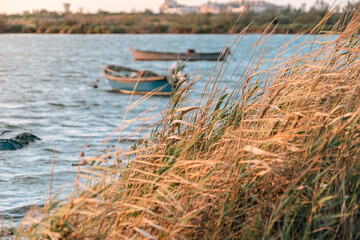 Boats In The Lake With Grasslands In The Foreground At Sunset. A Tranquil Scene In France With Boats Moored While The Grasslands Sway In The Breeze At Sunset. Golden Light.
