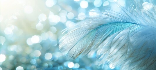 Light Air, Delicate, Close Up of Single White Feather in Abstract Blue Bokeh Soft Light Background