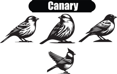 Fototapeta premium Canary Artistic Silhouette Elements in Black