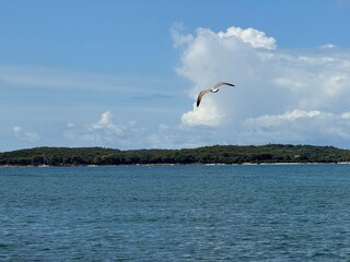 Blue sea 