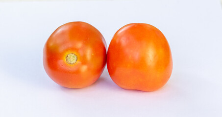 tomatoes on a white background