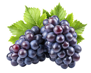 Fototapeta premium Clusters of black grapes isolated on a transparent background PNG