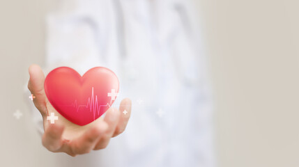 Health care medical focus heartbeat for checking the function of the patient heart. health insurance, love, world heart day, check up, heart attack and cardiology. hospital, service and business.