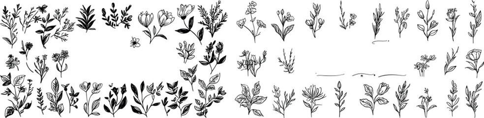 Floral rustic trendy greenery with botanical collection of herbs and wildflowers. Editable stroke.