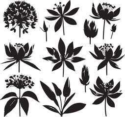 Obraz premium Flower Shadowy Silhouette Vector Art Pack