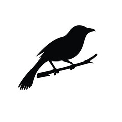Bird black and white silhouette vector design