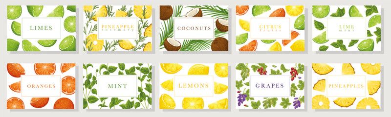 Fruits, berries business cards set. Hand drawn vector cartoon backgrounds collection with a text box. Lime, mint, pineapple, citrus, coconut, orange, grapes illustrations on white background