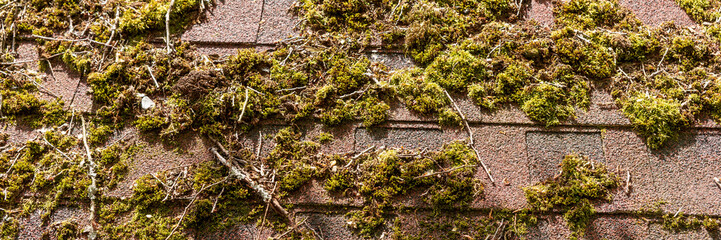 Panoramic image. Bituminous shingles with moss. Old weathered tile roof