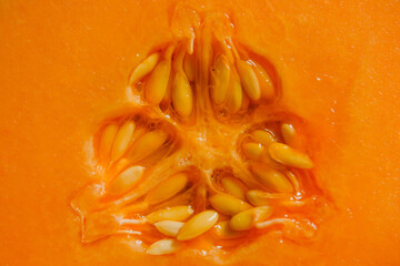 close up of a slice of melon