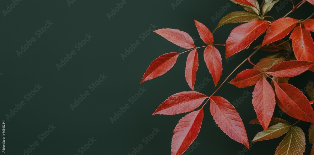 Poster the background is colored with red leaves on a blue slate background. the top view is a copy space, 