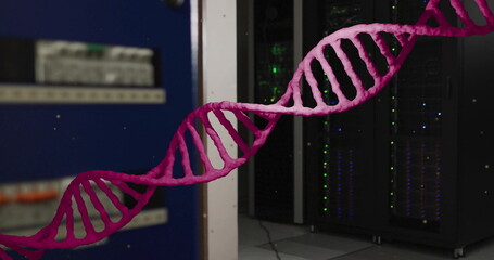 Image of pink dna strand rotating over computer server room