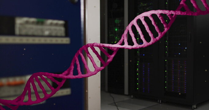 Image of pink dna strand rotating over computer server room