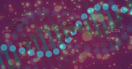 DNA strand and data processing over colorful bokeh background