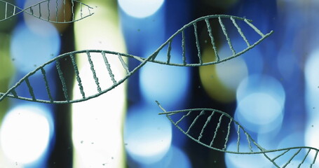 DNA strands image over blurred lights background