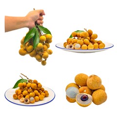 set of longan tropical fruits in Thailand. Clipart of sugar-food Longan in Thailand on white background.