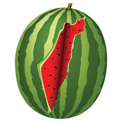 Watermelon Palestine Map Slice delicious Summer Fresh Fruit Vector illustration isotated on White 
