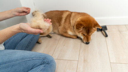 Grooming of pets and dogs