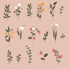 Set of wildflower. Strawberry flower. Hand drawn vector illustration.