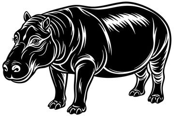 hippopotamus illustration,hippopotamus animal