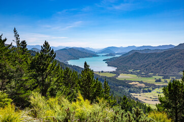 Kenepuru Sound, Marlborough Sounds, South Island, New Zealand, Oceania.