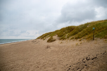 Danish dunes on the North Sea covered with grass