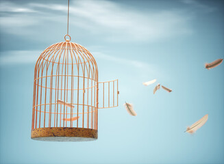 Birdcage with open door and feathers floating in the air.